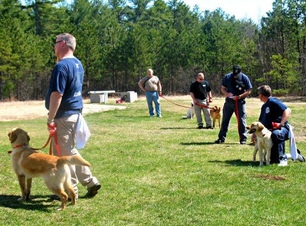 State Farm Arson Dog Spring Training 2013