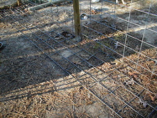 dog proof garden fencing