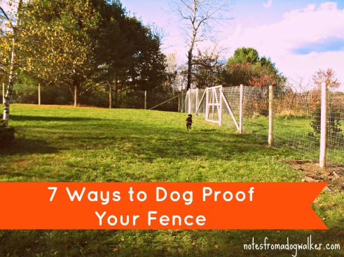 7 ways to dog proof fence