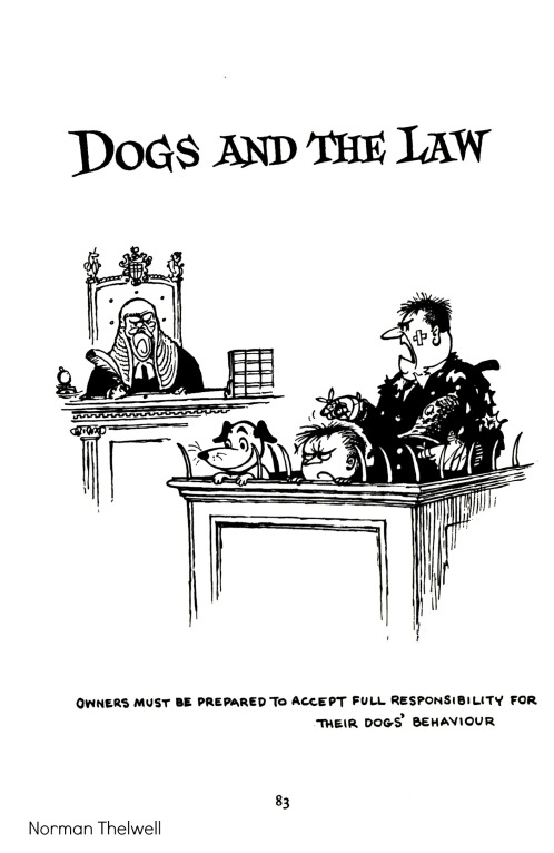 Top Dog by Norman Thelwell
