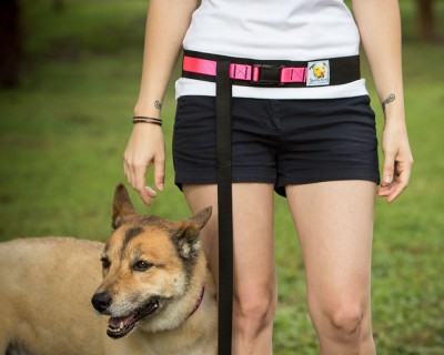 leash-belt-standardi-dog